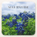 Recherche de étoile solitaire maison deco Bluebonnet