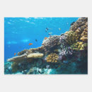 Recherche de aquatique papier cadeau Beau