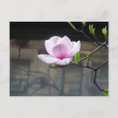 Recherche de japonais floral cartes postales Rose