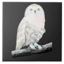 Recherche de chouette carreaux Amant de hibou