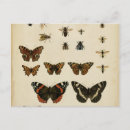 Recherche de vision cartes postales Animaux