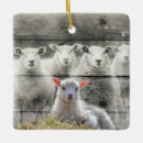 Recherche de moutons ornements Agneau
