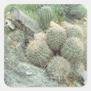Recherche de saguaro autocollants Désert