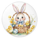 Recherche de poussin mignon Lapin