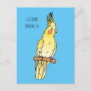 Recherche de cockatiel cartes postales Perroquet