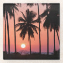 Recherche de paysage dessous de verres Palmier