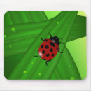 Recherche de coccinelles électronique Point