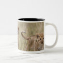 Recherche de mara tasses Unité