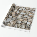 Recherche de motif de coquillages papier cadeau Coquille