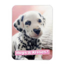 Recherche de dalmatien magnets Drôle