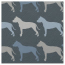 Recherche de american staff Dog