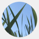 Recherche de herbes autocollants Bleu