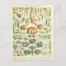 Recherche de livre vintage cartes postales Plante