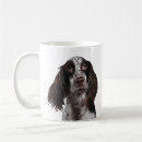 Recherche de épagneul de springer anglais tasses Chiot