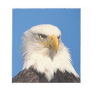 Recherche de profil blocsnotes Aigle