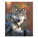 Recherche de nous loup art Lupus