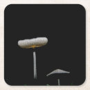 Recherche de macro tissue papier Champignon