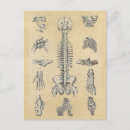 Recherche de cadavre posters Médical