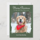 Recherche de pattes de chien vœux cartes Joyeux