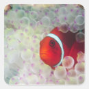 Recherche de plongée autocollants Poisson