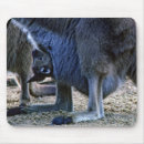 Recherche de kangourous tapis souris Animal
