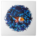 Recherche de clown carreaux Anémone