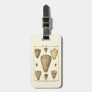 Recherche de coquilles bagages étiquettes Océan