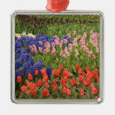 Recherche de lisse ornements Fleur