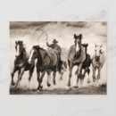 Recherche de chasse cartes postales Cheval