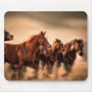 Recherche de galoper cheval tapis souris Ferme