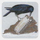Recherche de corneille autocollants Oiseaux