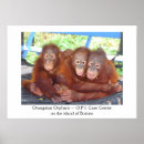 Recherche de singe de bébé posters Faune