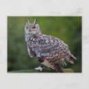 Recherche de eurasien posters Hibou