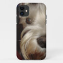 Recherche de schnauzer miniature iphone coques Animal