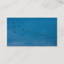 Recherche de recherche cartes visite Bleu