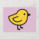 Recherche de poussins jaunes cartes postales Rose