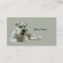 Recherche de miniature cartes visite Chien