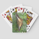 Recherche de tropical jeux de cartes Belle