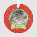 Recherche de minous ornements Cats