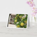 Recherche de arbres fruitiers vœux cartes Pour tous