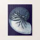 Recherche de ecosse puzzles Côtier