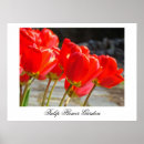 Recherche de tulipe art Toute personne