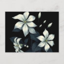 Recherche de jasmin cartes postales Blanc