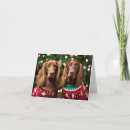 Recherche de irlandais noël cartes Dog