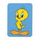 Recherche de tweety magnete Titi