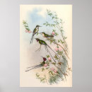Recherche de oiseaux vintages art Pour lui