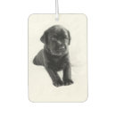 Recherche de animal familier voiture accessoires Chiot