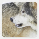 Recherche de bois gris autocollants Animal