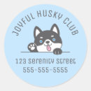 Recherche de yeux de chien autocollants Chiot