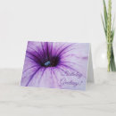 Recherche de pétunia vœux cartes Fleur